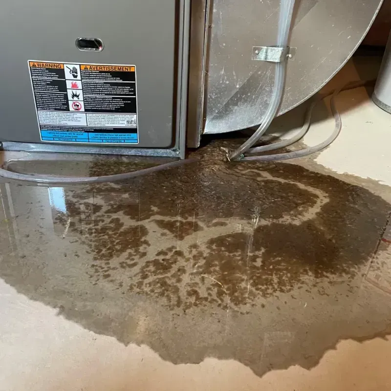 Appliance Leak Cleanup in Royal Palm Beach, FL